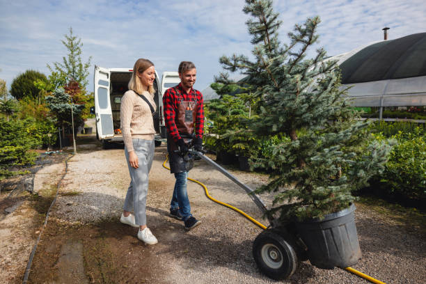 Tree Health Inspection